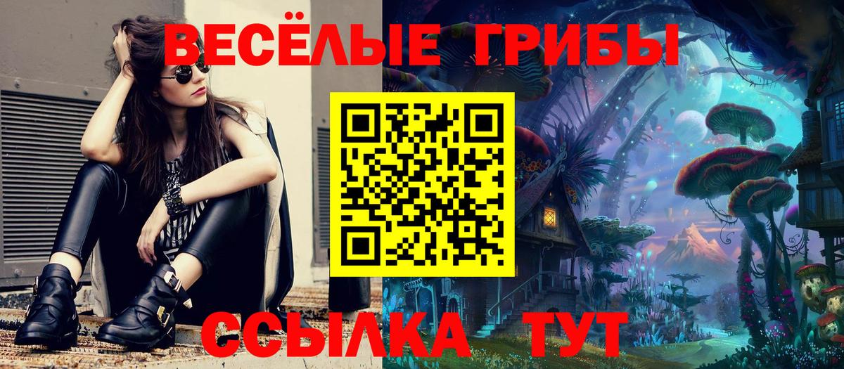 Псилоцибиновые грибы мицелий Вичуга