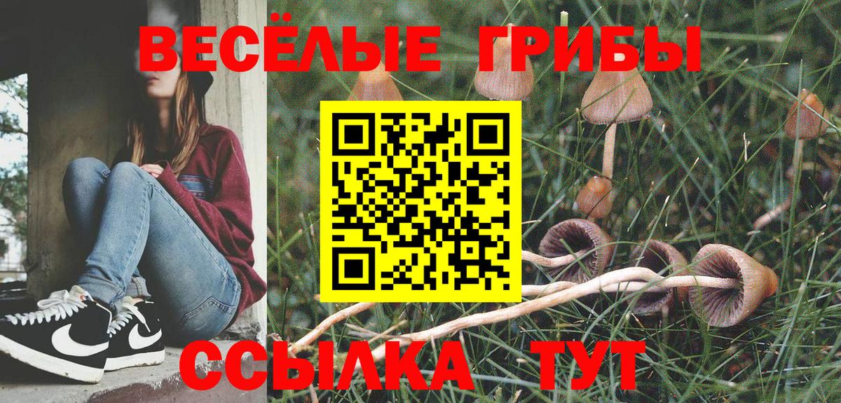 Вичуга  Галлюциногенные грибы мицелий  Вход с VPN  Галлюциногенные грибы Psilocybine cubensis 
